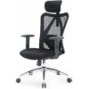 SIHOO M18 Ergonomic Office Chair, Adjustable Lumbar Support, 330 lb, Black