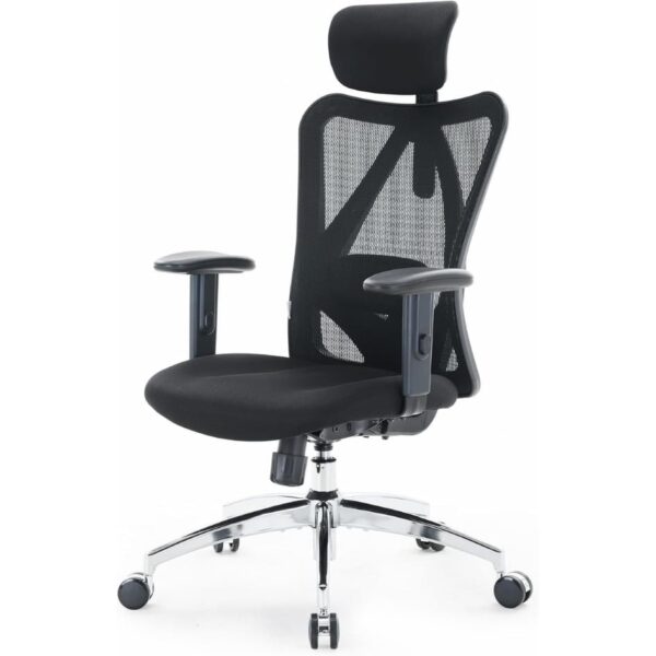 SIHOO M18 Ergonomic Office Chair, Adjustable Lumbar Support, 330 lb, Black