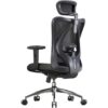 SIHOO M18 Ergonomic Office Chair, Adjustable Lumbar Support, 330 lb, Black