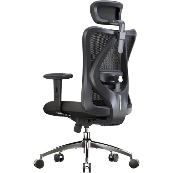 SIHOO M18 Ergonomic Office Chair, Adjustable Lumbar Support, 330 lb, Black