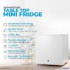 Subcold Eco50 Mini Fridge 45L Tabletop Solid Door | Chiller Box & Lock [Energy Class E]
