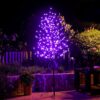 61sGhkXIFbL._AC_SL1000_.jpg Sakura Cherry Blossom Tree Lights, 6FT Lighted Bonsai Tree