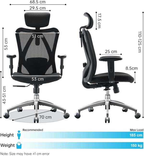 SIHOO M18 Ergonomic Office Chair, Adjustable Lumbar Support, 330 lb, Black