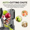 AMZCHEF Cold Press Juicer, Slow Masticating Juicer, 145mm Wide Chute