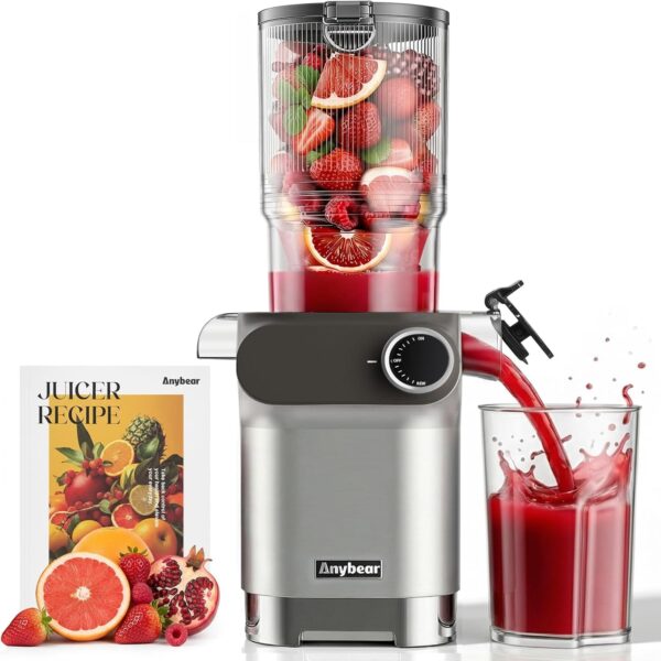 Anybear Cold Press Juicer 200W Slow Juicer