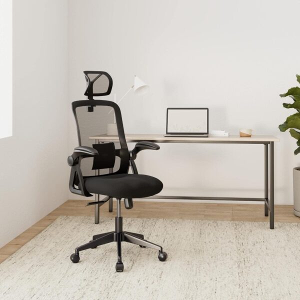 Realm of Thrones Mesh Ergonomic Office Chair, Back Support and Long Hours