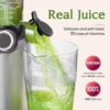 Anybear Cold Press Juicer 200W Slow Juicer