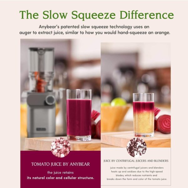 Anybear Cold Press Juicer 200W Slow Juicer