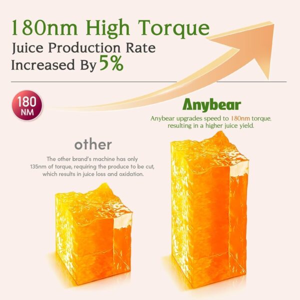 Anybear Cold Press Juicer 200W Slow Juicer