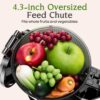 Anybear Cold Press Juicer 200W Slow Juicer