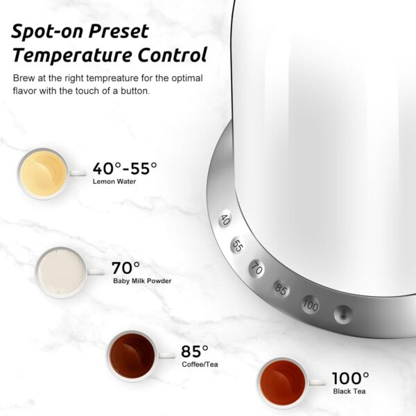 ASCOT Electric Kettle with 5 Variable Presets