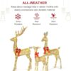 810z45hPTeL._AC_SL1500_.jpg HOYECHI Lighted Christmas Decoration Deer 3 Piece