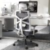 818WOjhGzKL._AC_SL1500_.jpg HOLLUDLE Ergonomic Office Chair with Adaptive Backrest, High Back Computer Desk Chair with 4D Armrests