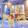 81Eiobaig1L._AC_SL1500_.jpg HOYECHI Lighted Christmas Decoration Deer 3 Piece