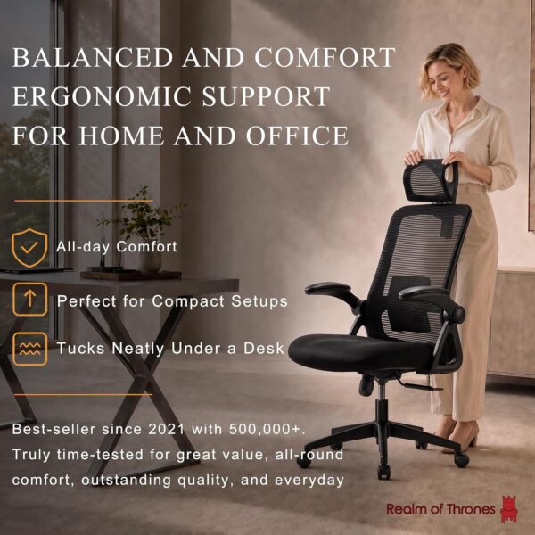 Realm of Thrones Mesh Ergonomic Office Chair, Back Support and Long Hours