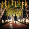 Fairy Lights Mains Powered 24 Tube Meteor Shower Christmas Lights, Warm [Energy Class F]
