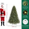 81Xz2vVi2nL._AC_SL1500_.jpg Shareconn 6.5ft Artificial Fir Function Christmas Tree with Lights,17 modes