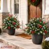 81g2spwsA3L._AC_SL1500_.jpg 2-Pack Prelit Christmas Pot Inserts with Pinecones & Berries