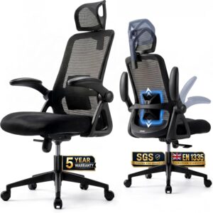 81khC4XeeL._AC_SL1500_.jpg Realm of Thrones Mesh Ergonomic Office Chair, Back Support and Long Hours