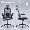 Realm of Thrones Mesh Ergonomic Office Chair, Back Support and Long Hours