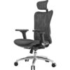 SIHOO M57 Ergonomic Mesh Office Chair, Lumbar Support, 330 lb, Black