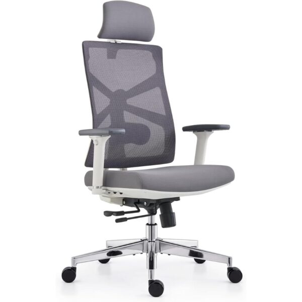 Untitled-design-1-18.jpg HOLLUDLE Ergonomic Office Chair with Adaptive Backrest, High Back Computer Desk Chair with 4D Armrests