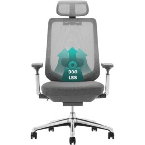 COLAMY Ergonomic Mesh Office Chair, High Back Computer Executive Desk Chair with Adjustable Headrest and 4D Arms